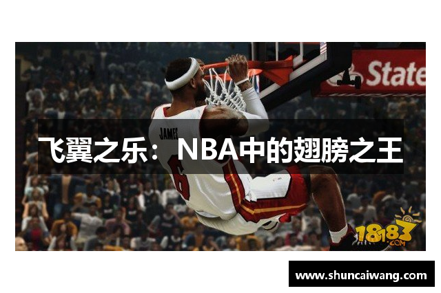 飞翼之乐：NBA中的翅膀之王